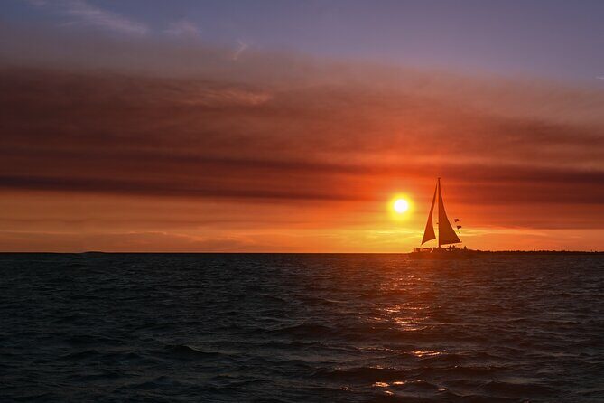Private Boat Tour Dolphins Sunsets Shell Island and Snorkeling - An In-Depth Look at the Private Boat Tour Experience