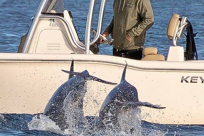 Private Boat Tour Dolphins Sunsets Shell Island and Snorkeling - FAQs