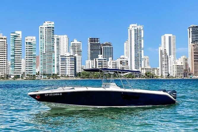 Private Boat Tour Full Day Trip to Rosario Islands, Cholon, Baru - Accessibility and Recommendations
