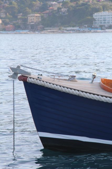 Private Boat Tour in Portofino Natural Park or Cinque Terre - Tour Highlights