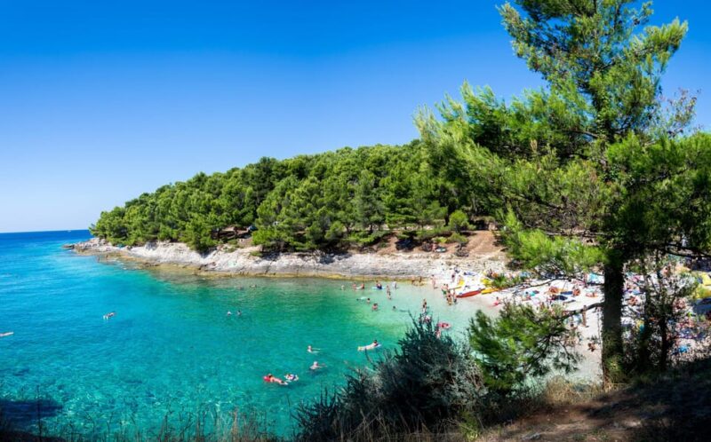 Private Boat Tour N.P. Brijuni & Blue Cave & Islands - Itinerary Highlights