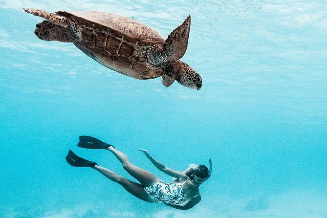 Private Boat Tour of Moorea Lagoon - Why You’ll Love This Experience