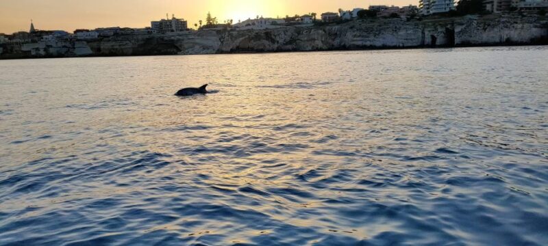 Private Boat Tour of the Island of Ortigia With Lunch - Booking and Cancellation