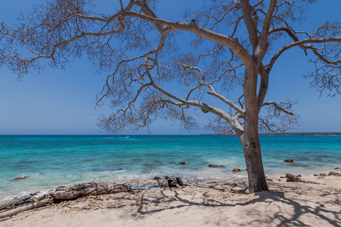 Private Boat Tour of the Rosario Islands - Inclusions and Exclusions