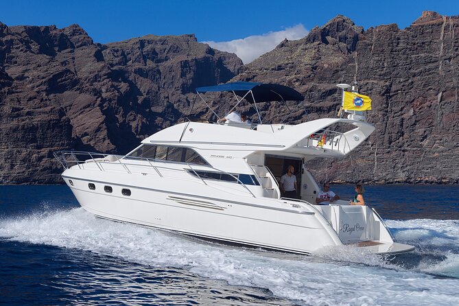 Private Boat Tour on Royal Ocean Yacht, Tenerife - Accessibility and Transportation