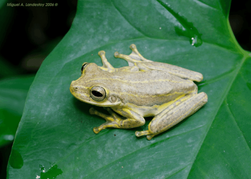 Private Boat Tour & Rain Forest Hike Los Haitises - Experience Highlights