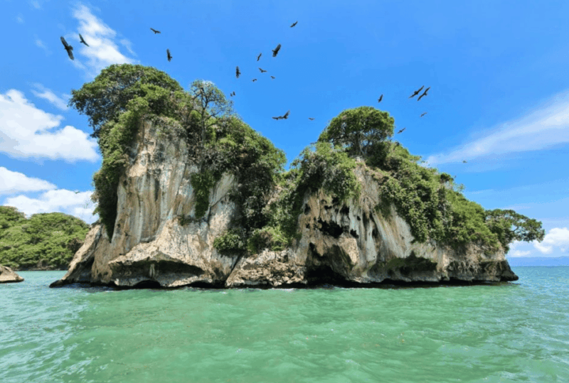 Private Boat Tour & Rain Forest Hike Los Haitises - Mangroves and Caves