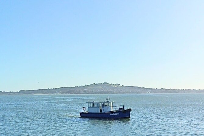 Private Boat Tour Through the Bay of Montevideo - Transportation Details