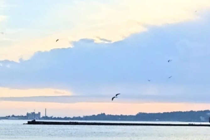 Private Boat Tour Through the Bay of Montevideo - Meeting Point