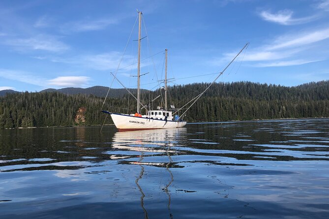 Private Boat Tour to Hot Springs in Alaska - Key Points