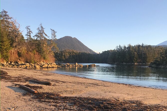 Private Boat Tour to Hot Springs in Alaska - Health and Accessibility