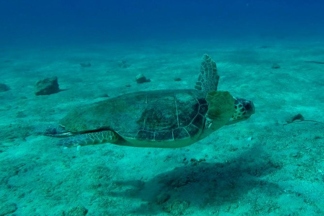 Private Boat Tour to Kekova and Sunken City From Antalya Incl.Transfer - Pickup Information