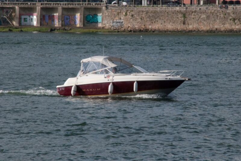 Private Boat Tour to Ponte D. Luís 1h, Group Price up to 6px - Booking Information