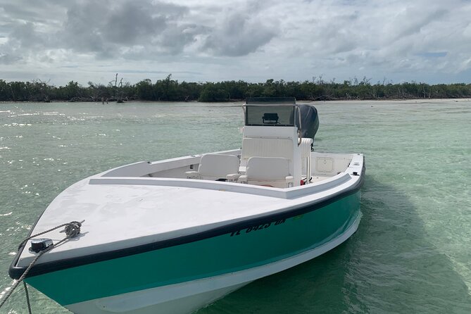 Private Boat Tour to Sand Bar Snorkel Dolphins and Sunset - Sunset Splendor: Capturing the Essence of the Day