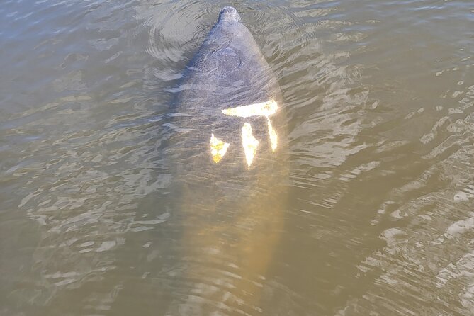 Private Boat Tour up to 12 People Fort Myers Beach and Sanibel - Booking and Inquiries