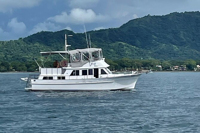 Private Boat Tour With Free Food and Drinks and Snorkeling - Key Points