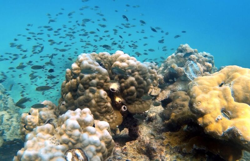 Private Boat Trip Around Koh Kood - Inclusions
