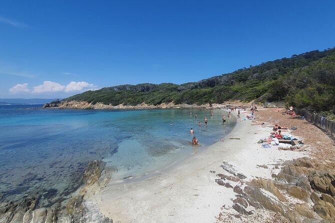 Private Boat Trip Around the Island of Port Cros. - Inclusions and Accessibility