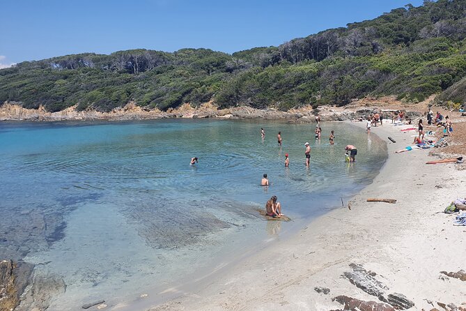 Private Boat Trip Around the Island of Port Cros. - Exploring Port Cros Island