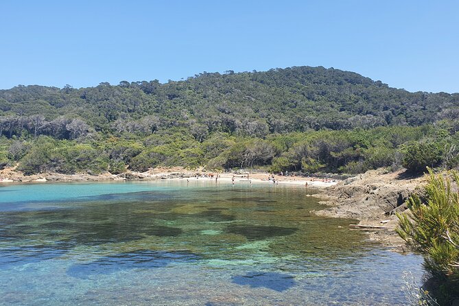 Private Boat Trip Around the Island of Port Cros. - Snorkeling and Paddle Adventure