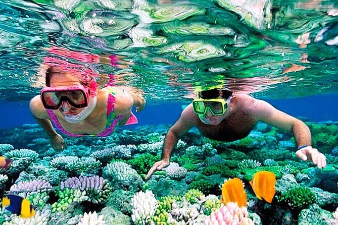 Private Boat Trip From Hurghada Makadi Sahl Hashesh Soma Bay Safaga Al Gouna - Exploring the Red Sea Coastline
