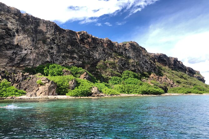 Private Boat Trip | Swim, Board or Snorkel - Customizable Activities