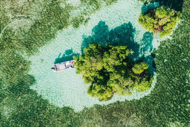 Private Boat Trip With a Guide on the Most Beautiful Lagoon of Guadeloupe - Key Points