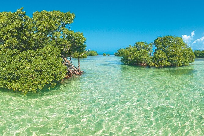 Private Boat Trip With a Guide on the Most Beautiful Lagoon of Guadeloupe - Booking and Reservation Details