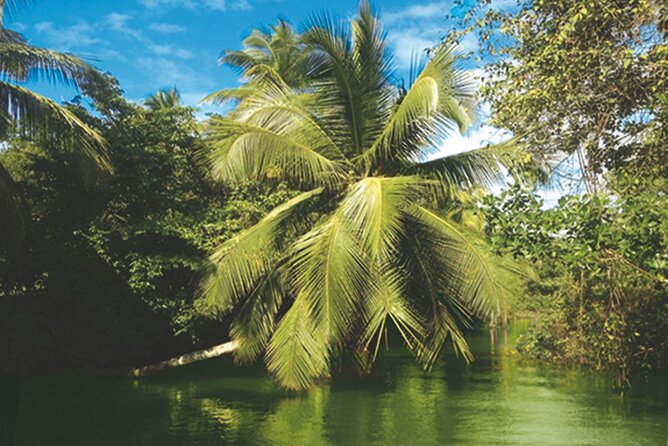 Private Boat Trip With a Guide on the Most Beautiful Lagoon of Guadeloupe - Safety and Environmental Considerations