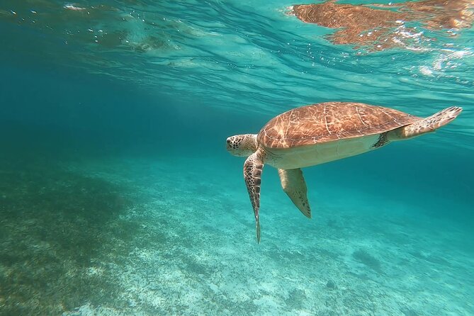 Private Boating Adventure for Snorkeling or Fishing in Nassau - 38FT Boat - Pricing and Cancellation Policy
