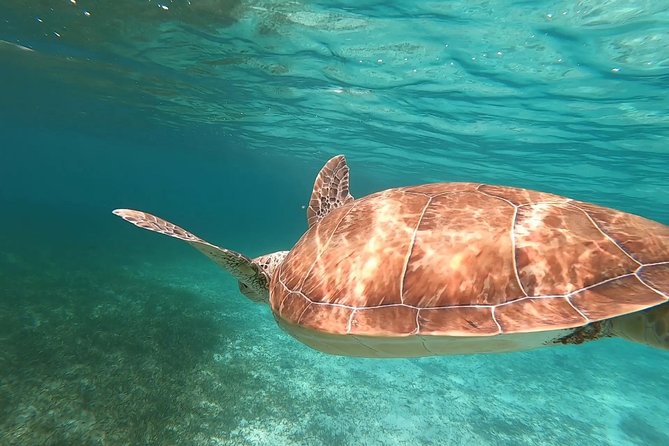 Private Boating Adventure for Snorkeling or Fishing in Nassau - 55FT Boat - Reviews and Ratings