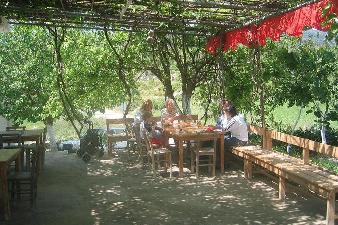 Private Bodrum Village Tour + 1 Glass Free Local Wine - Experiencing Local Village Life