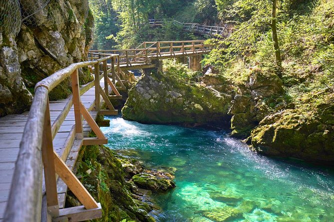 Private Bohinj & Vogel Tour From Bled - Additional Information