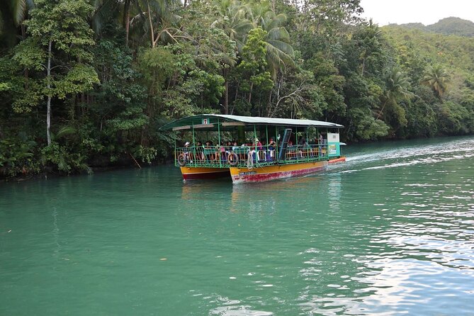 Private Bohol and Chocolate Hills With Loboc River Cruise - Traveler Experiences