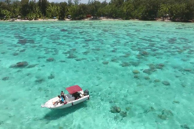Private Bora Bora Lagoon Experience - Final Thoughts: Is It Worth It?
