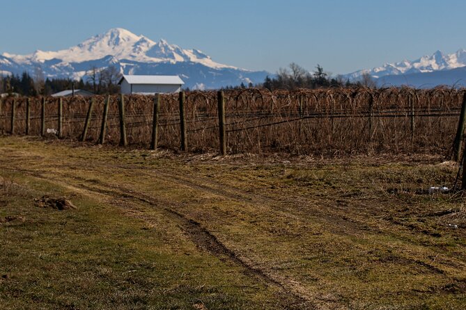 Private Border Corner Tour in Washington - Meandering Lynden Berthusen Park