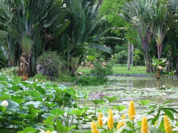 Private Botanical Garden Tour in Rio De Janeiro - Key Points