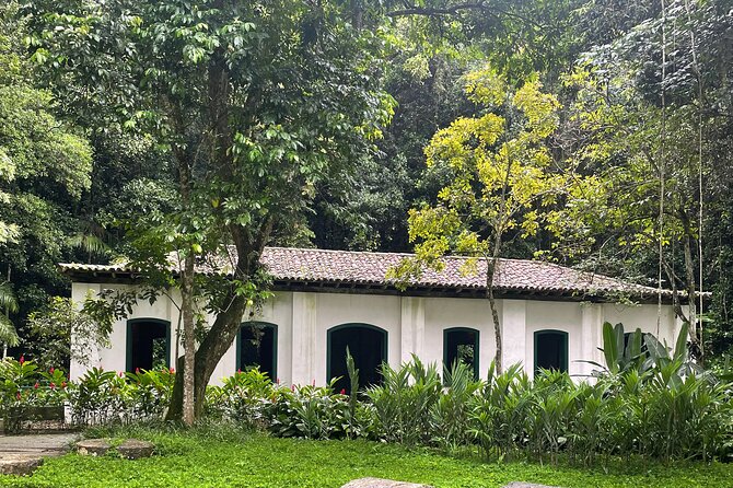 Private Botanical Garden Tour in Rio De Janeiro - Highlights of the Private Tour