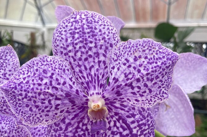 Private Botanical Garden Tour in Rio De Janeiro - Pricing and Cancellation Policy
