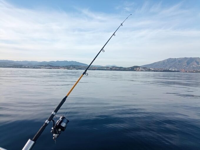 Private Bottom Fishing Trip in Fuengirola - Booking and Cancellation