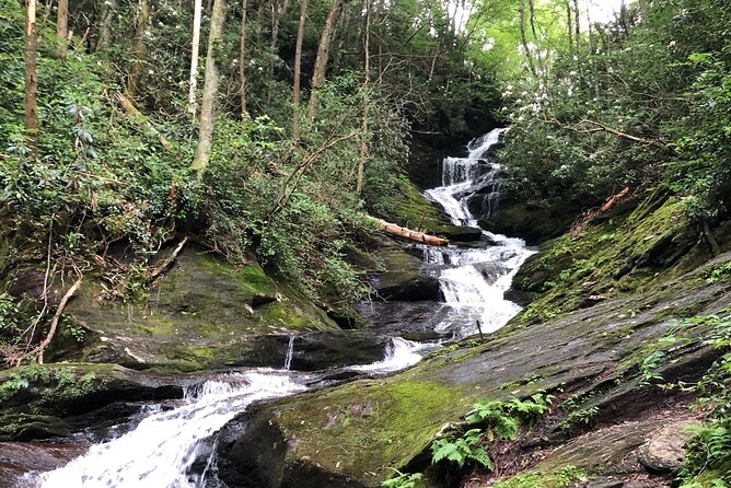 Private Boutique Blue Ridge Parkway Full Day Tour - Transportation and Accessibility