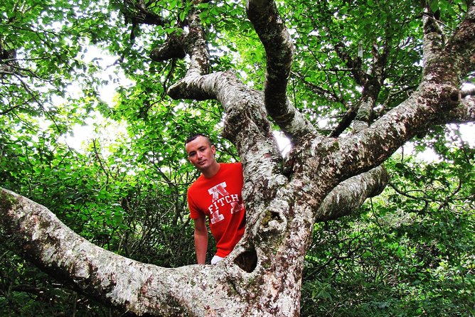 Private Boutique Blue Ridge Parkway Full Day Tour - Breathtaking Natural Wonders