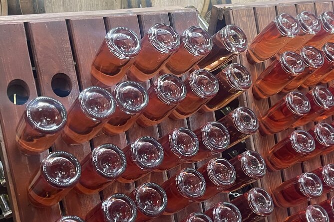 Private Boutique Wine Tour in Valle De Guadalupe - Cancellation Policy and Reviews