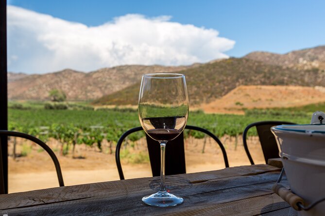 Private Boutique Wine Tour in Valle De Guadalupe - Exploring Valle De Guadalupe