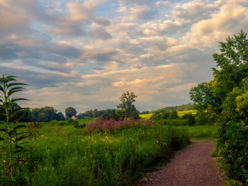 Private Brandywine and Longwood Gardens Driving Tour - Itinerary Highlights