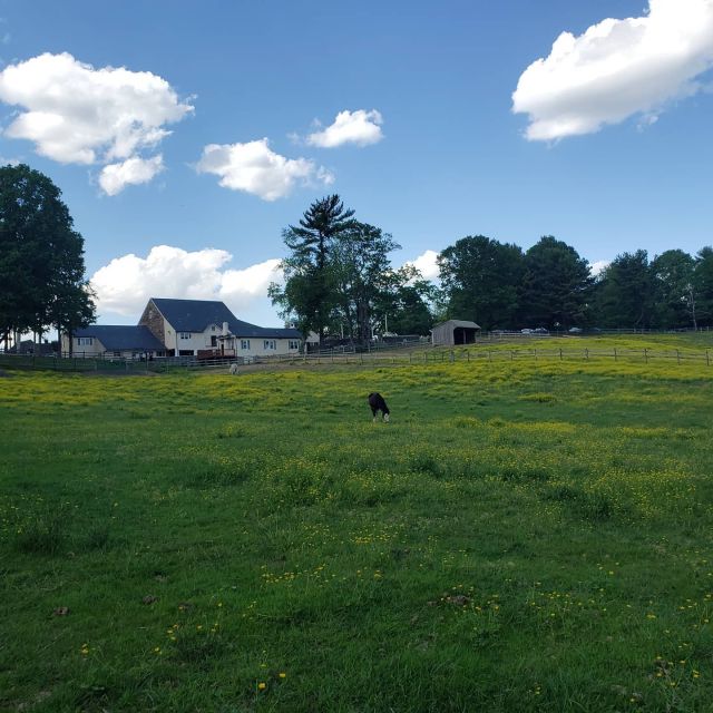 Private Brandywine and Longwood Gardens Driving Tour - Inclusions