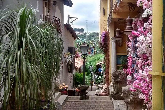 Private Brazilian Art Tour Experience Embu Das Artes City of Arts - São Paulo - Tour Overview
