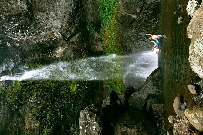 Private Breathtaking Koroyanitu Half Day Waterfall Hike - Who Will Love This Tour?