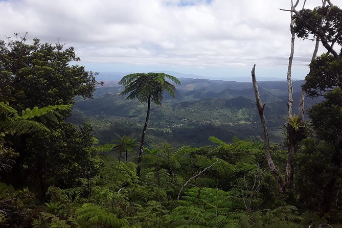 Private Breathtaking Mnt Victoria Day Trek - Key Points