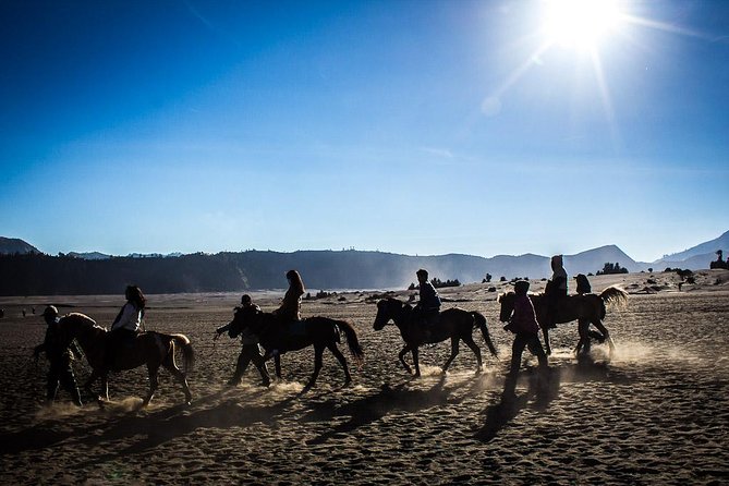 Private Bromo Sunrise Tour (All Included) - Departure and Pickup